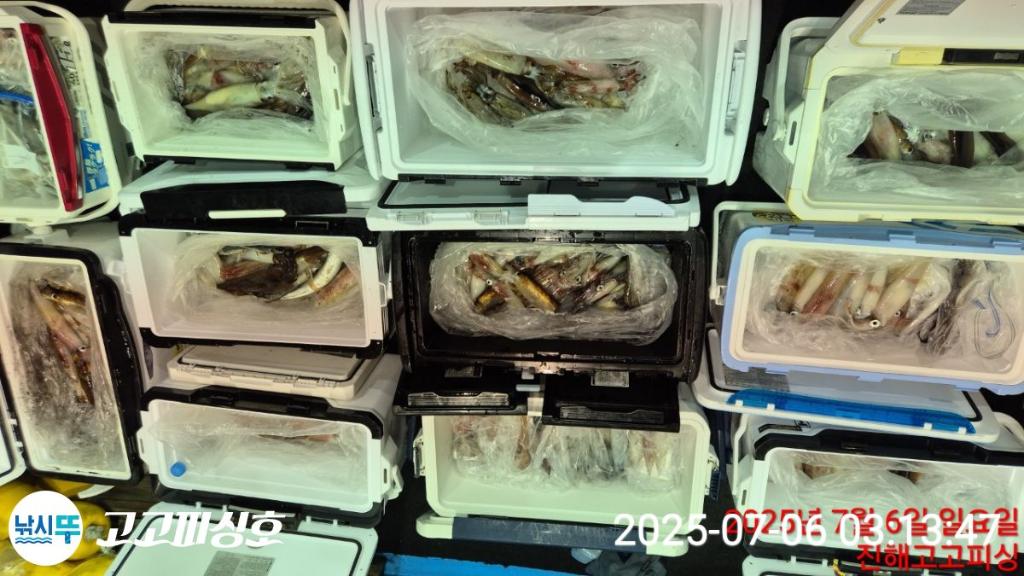 낚시뚜,한치,속천항(진해),고고피싱호,낚시뚜18