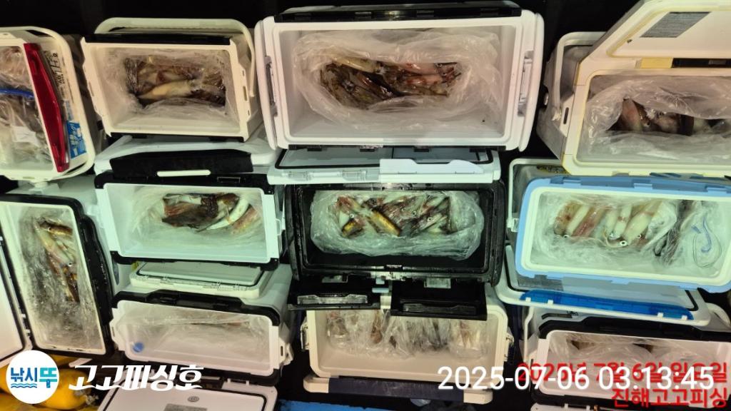 낚시뚜,한치,속천항(진해),고고피싱호,낚시뚜17