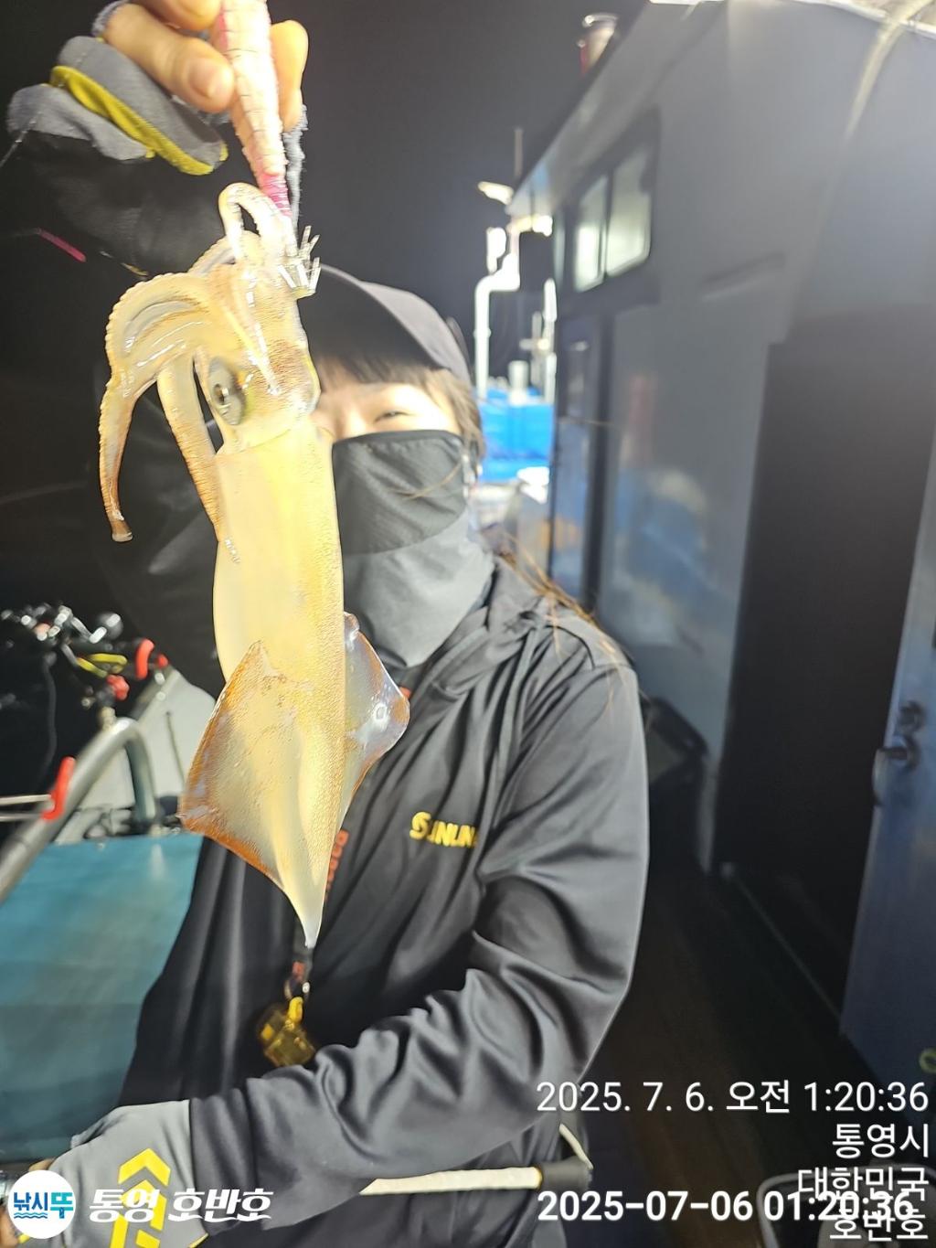 낚시뚜,한치,통영 신전항,통영호반호,낚시뚜12