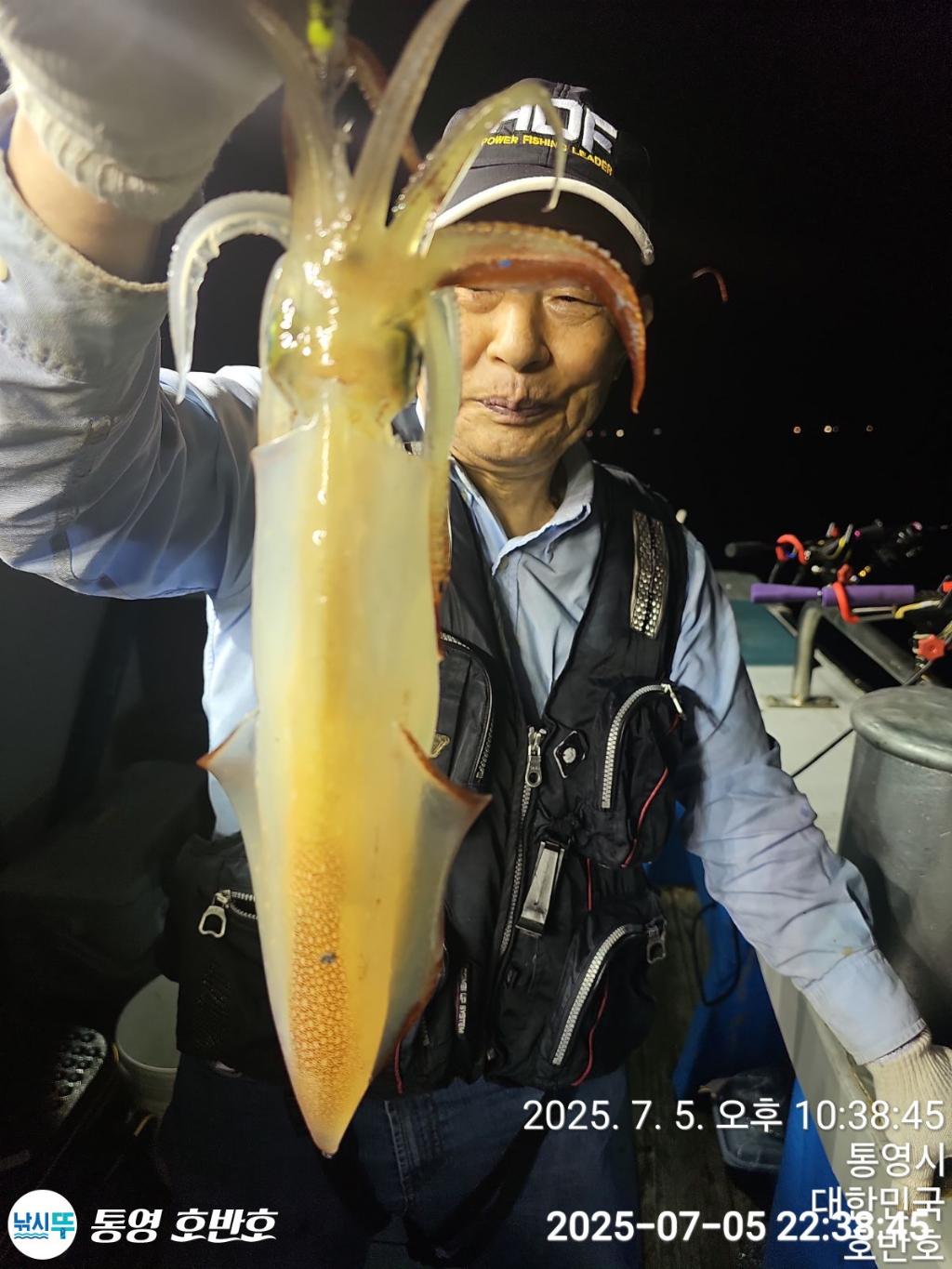 낚시뚜,한치,통영 신전항,통영호반호,낚시뚜1