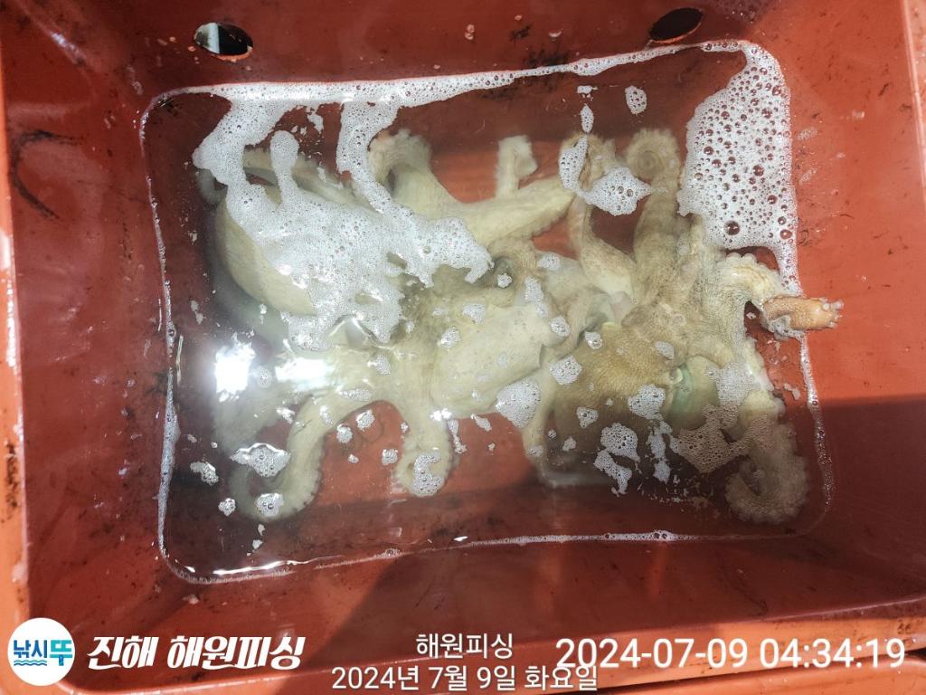 F27202160F.jpg