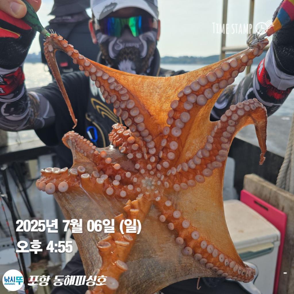 낚시뚜,돌문어,포항(운하관),포항 동해피싱호,낚시뚜11