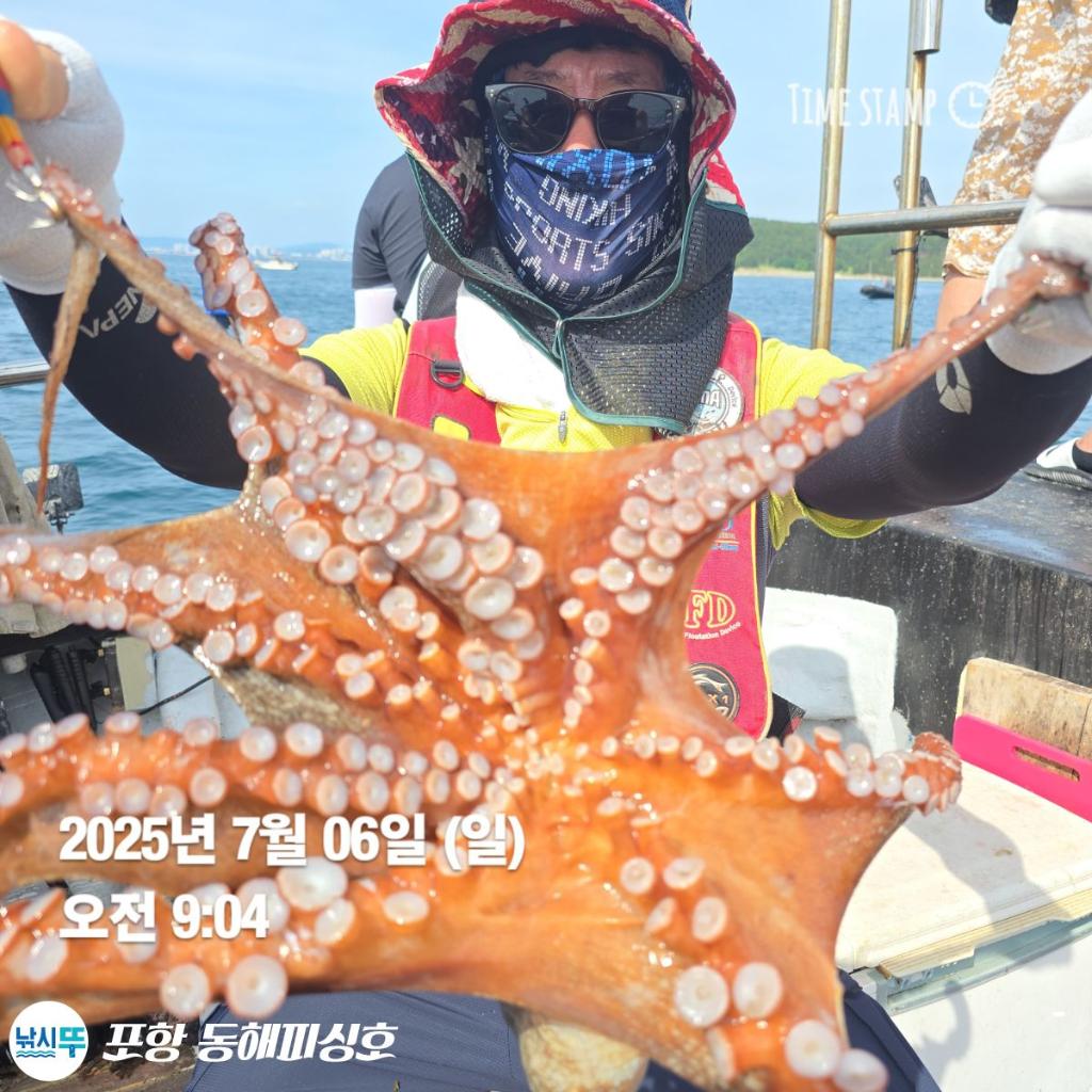 낚시뚜,돌문어,포항(운하관),포항 동해피싱호,낚시뚜6