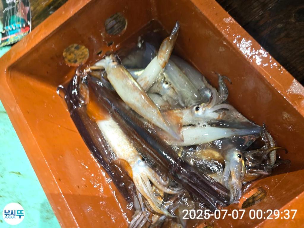 F2720409P8.jpg