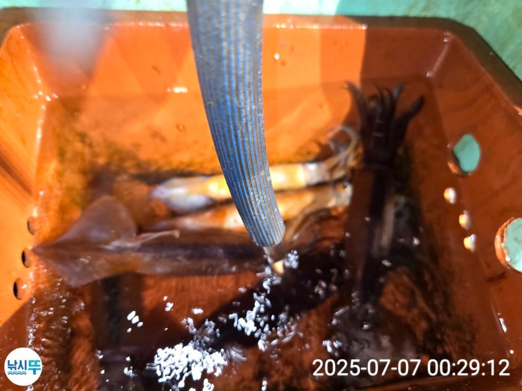 F2720412OZ.jpg