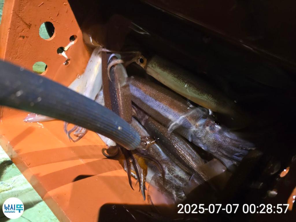 F2720414CC.jpg