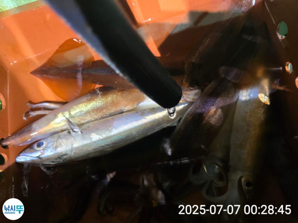 F2720417EF.jpg