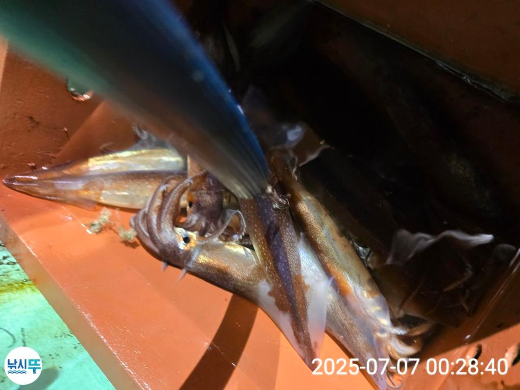 F272041839.jpg