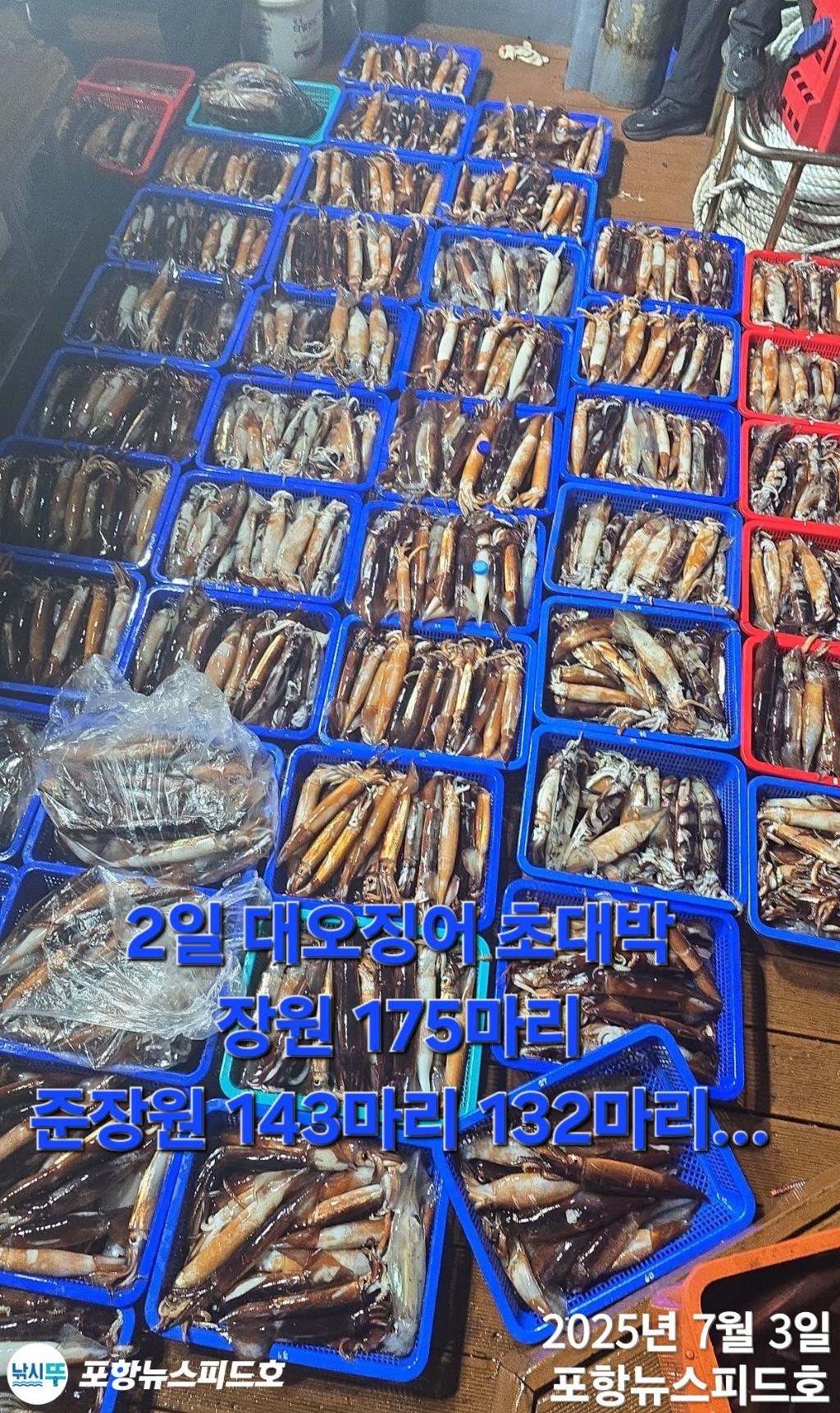 낚시뚜,오징어,포항 방석항,포항 뉴스피드호,낚시뚜6