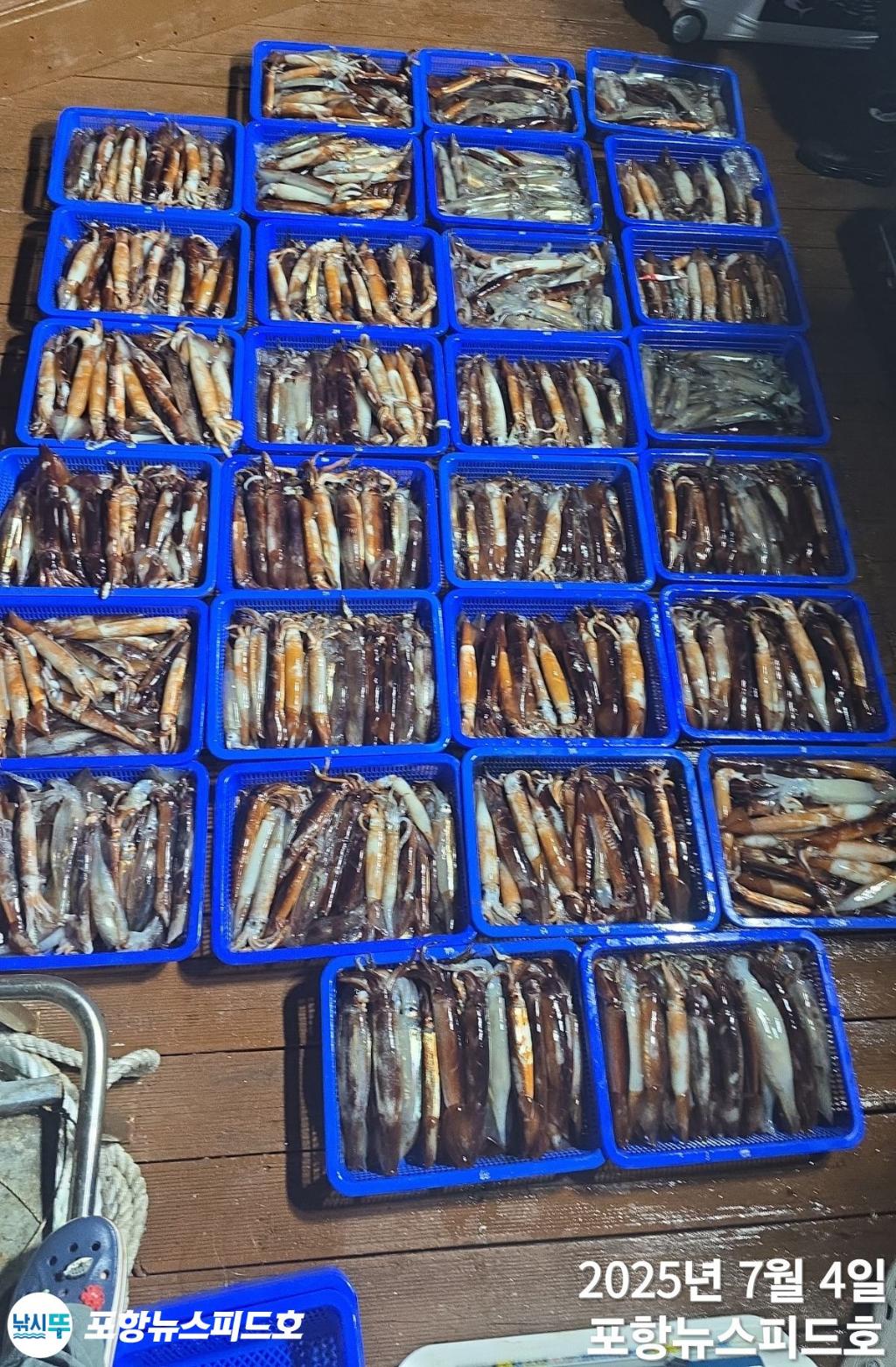 낚시뚜,오징어,포항 방석항,포항 뉴스피드호,낚시뚜5