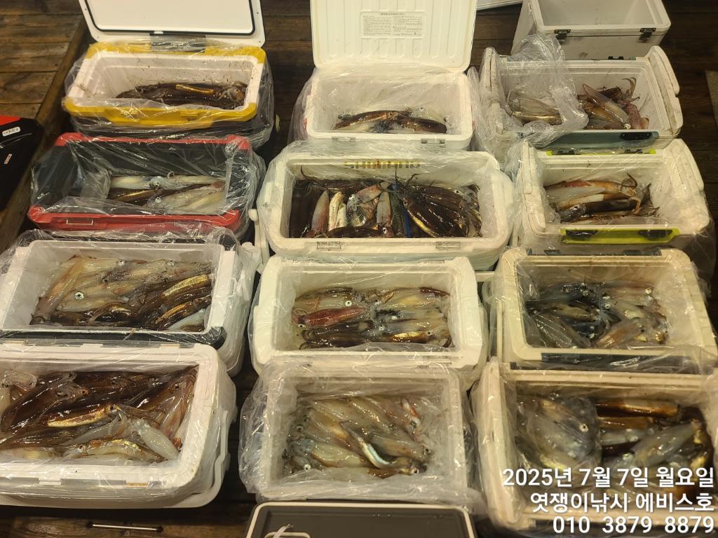 낚시뚜,기타 (직접입력),삼포항,엿쟁이낚시,낚시뚜26