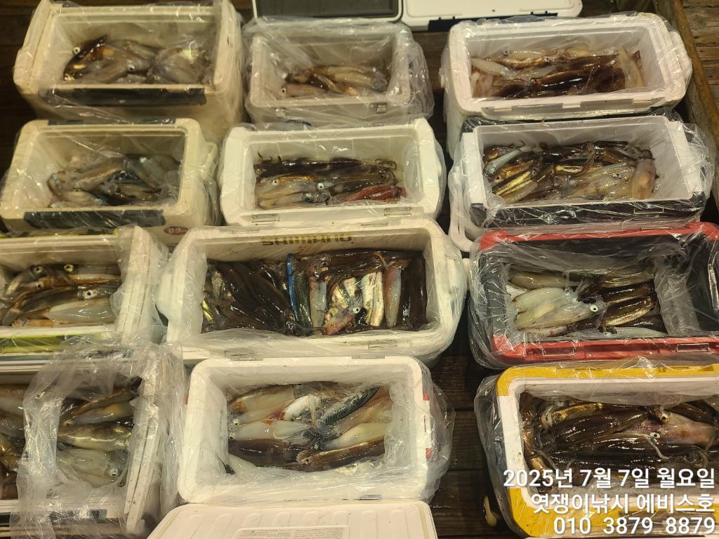 낚시뚜,기타 (직접입력),삼포항,엿쟁이낚시,낚시뚜27