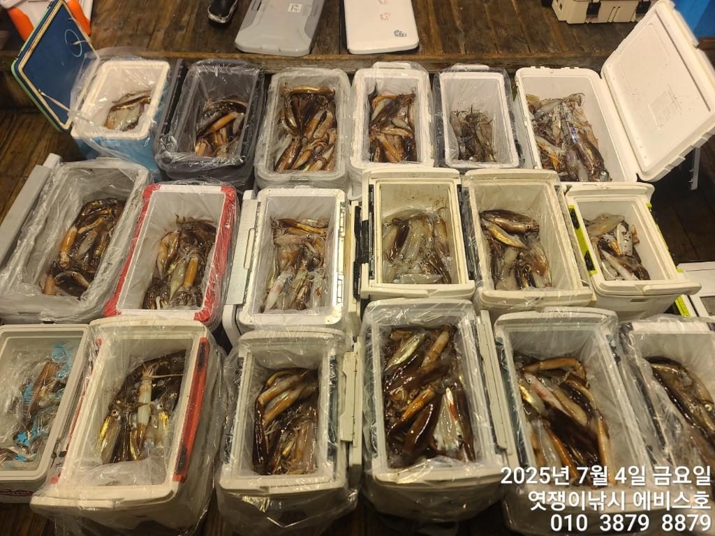 낚시뚜,기타 (직접입력),삼포항,엿쟁이낚시,낚시뚜59