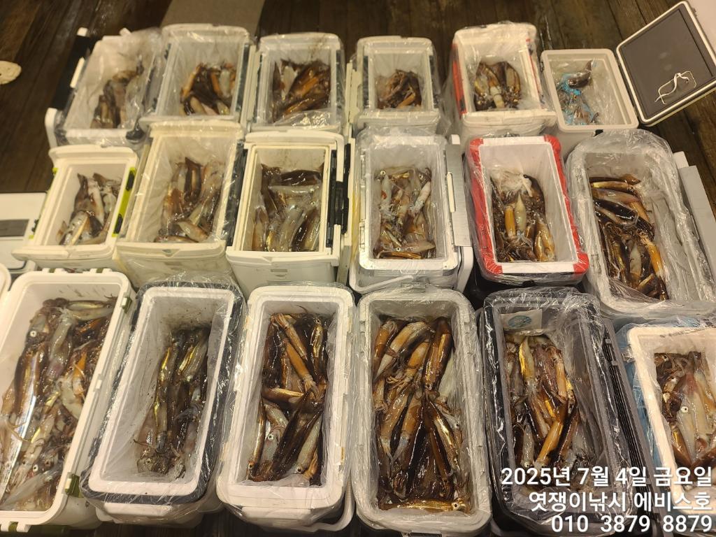 낚시뚜,기타 (직접입력),삼포항,엿쟁이낚시,낚시뚜60