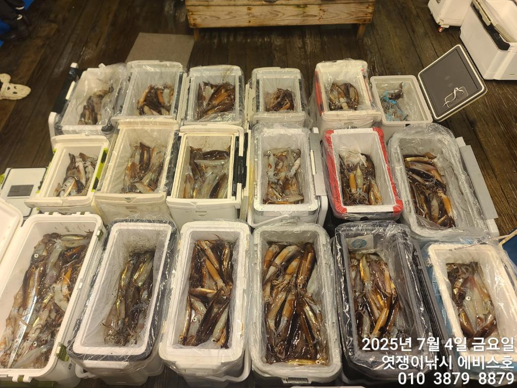 낚시뚜,기타 (직접입력),삼포항,엿쟁이낚시,낚시뚜61