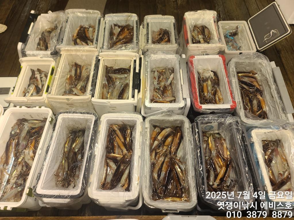 낚시뚜,기타 (직접입력),삼포항,엿쟁이낚시,낚시뚜62