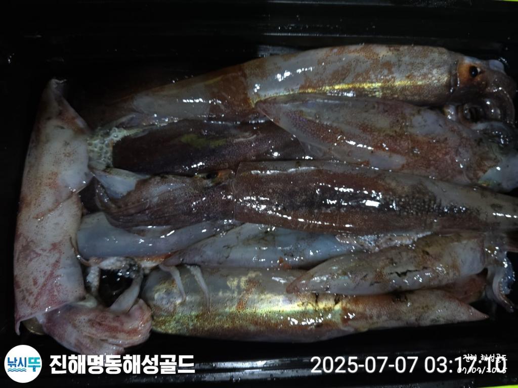 F27207187E.jpg