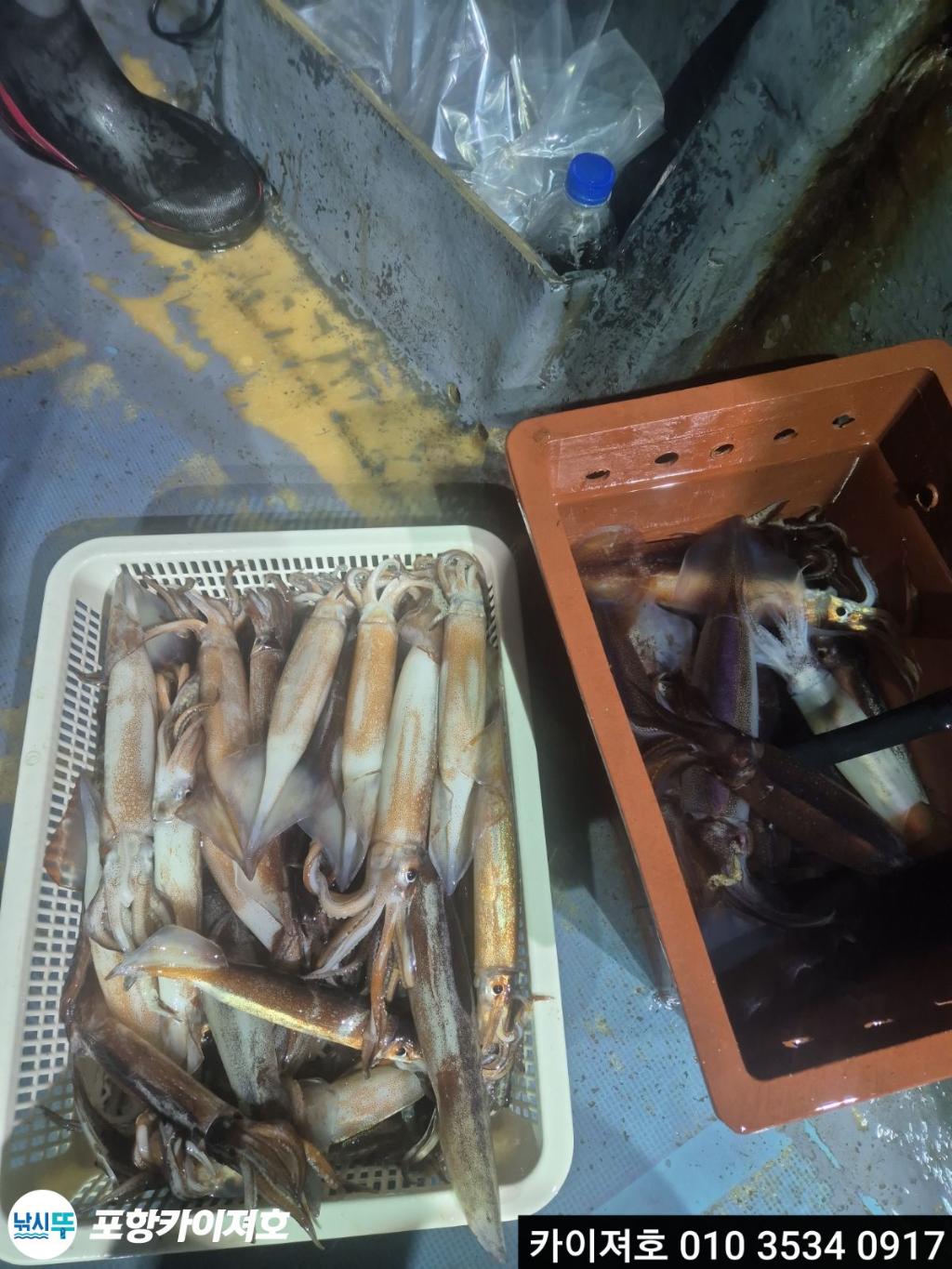 F27213030V.jpg