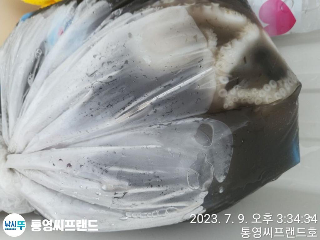 F27213800W.jpg