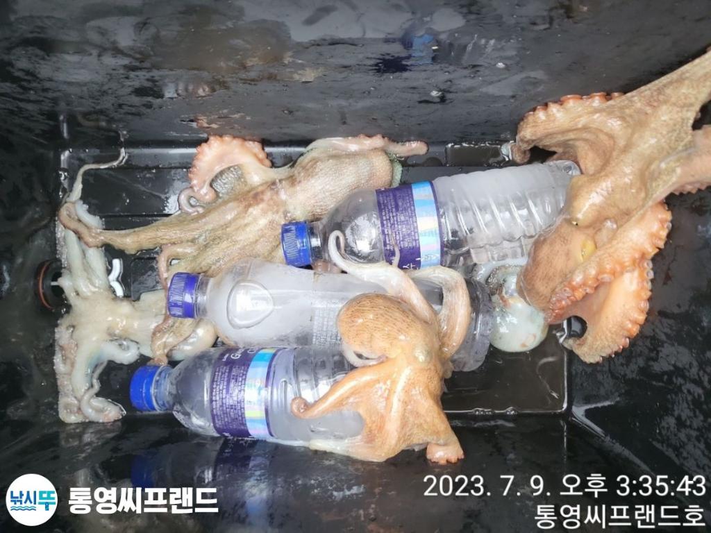 F27213827H.jpg