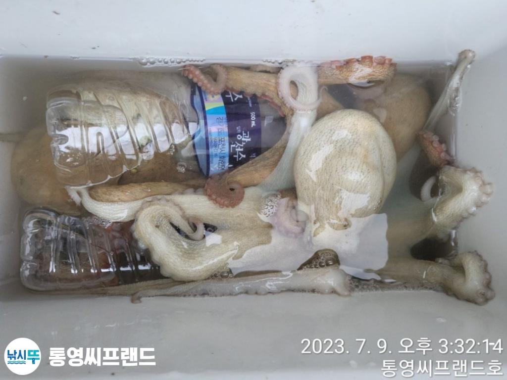 F27213846T.jpg