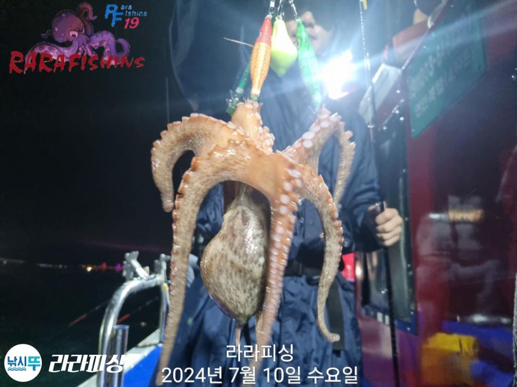 낚시뚜,돌문어,속천항(진해),라라피싱,낚시뚜22