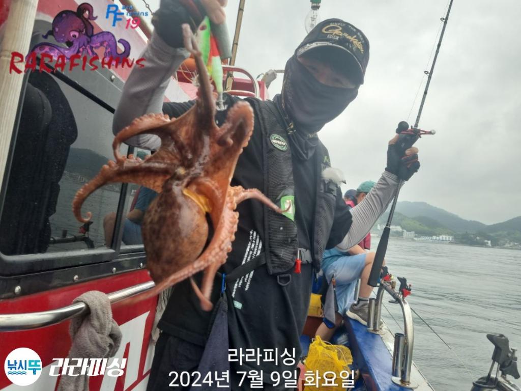 낚시뚜,돌문어,속천항(진해),라라피싱,낚시뚜13
