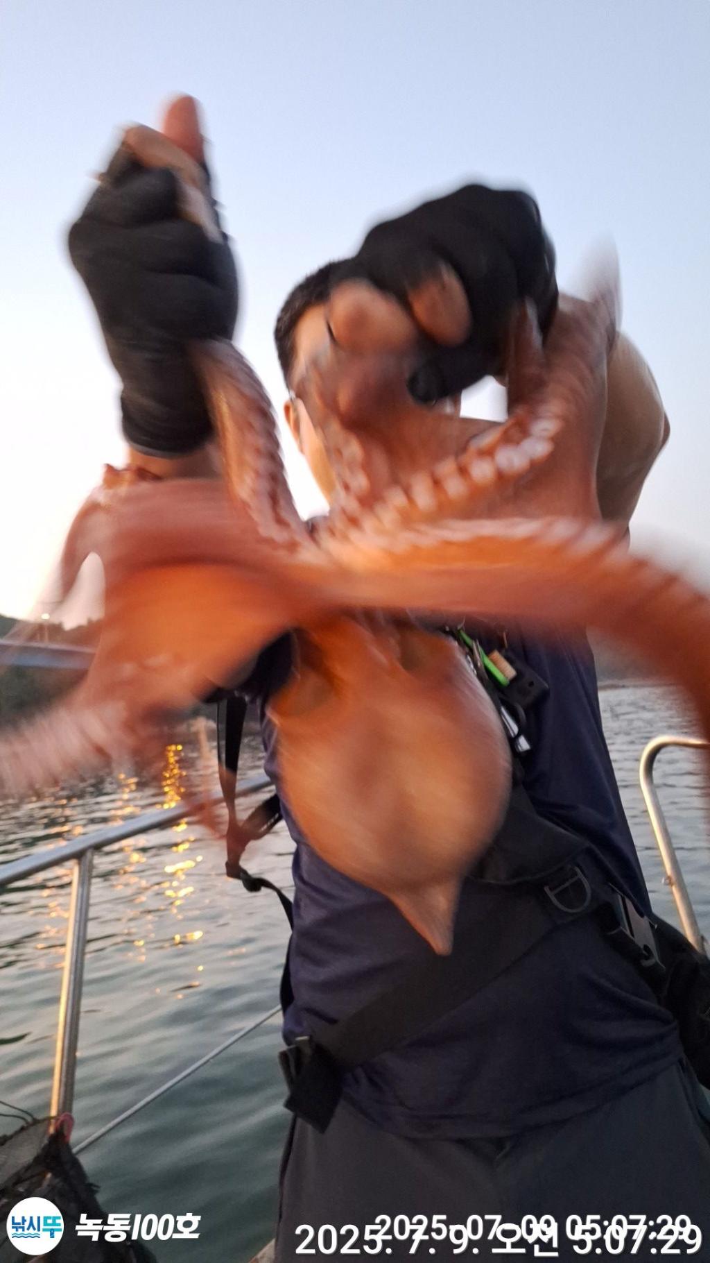 낚시뚜,돌문어,녹동항,녹동100호,낚시뚜13