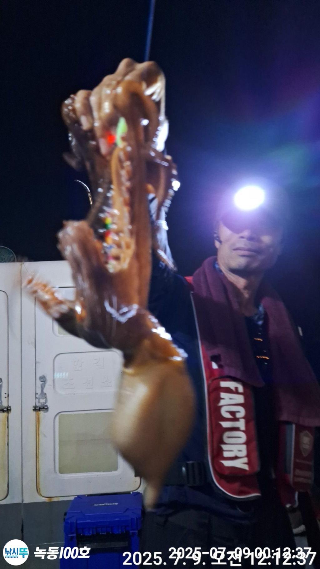 낚시뚜,돌문어,녹동항,녹동100호,낚시뚜1