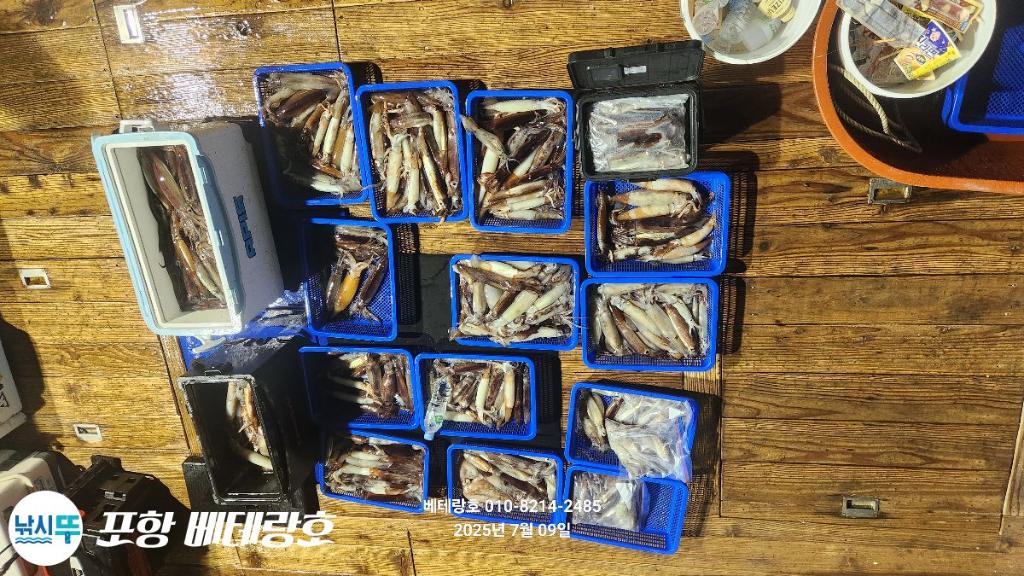 낚시뚜,오징어,구룡포항,포항 베테랑호,낚시뚜20