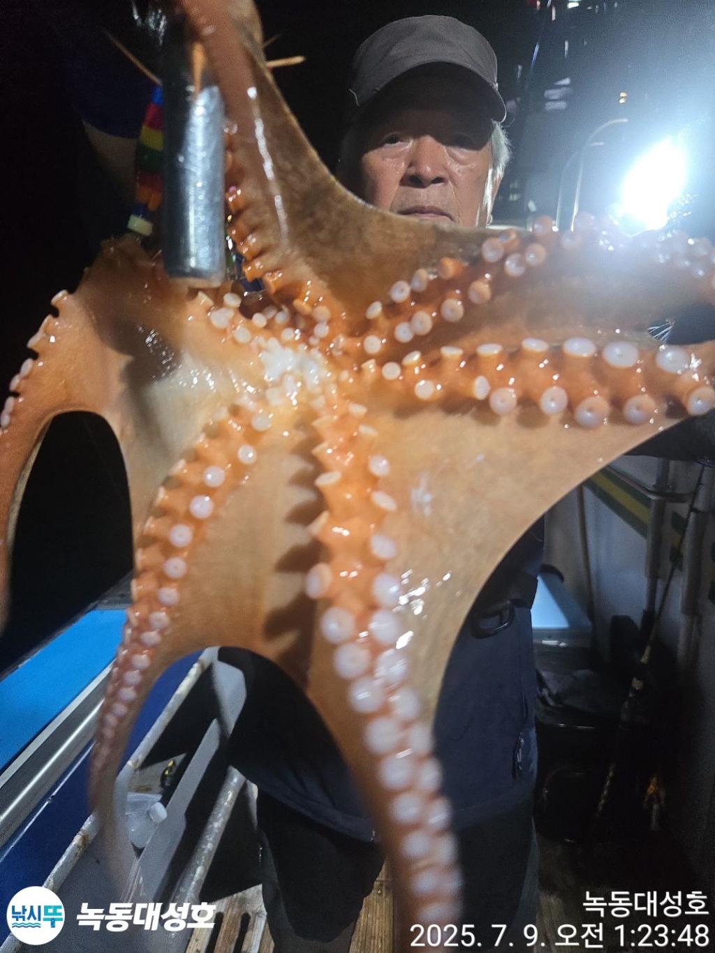 낚시뚜,돌문어,녹동항,녹동대성호,낚시뚜34