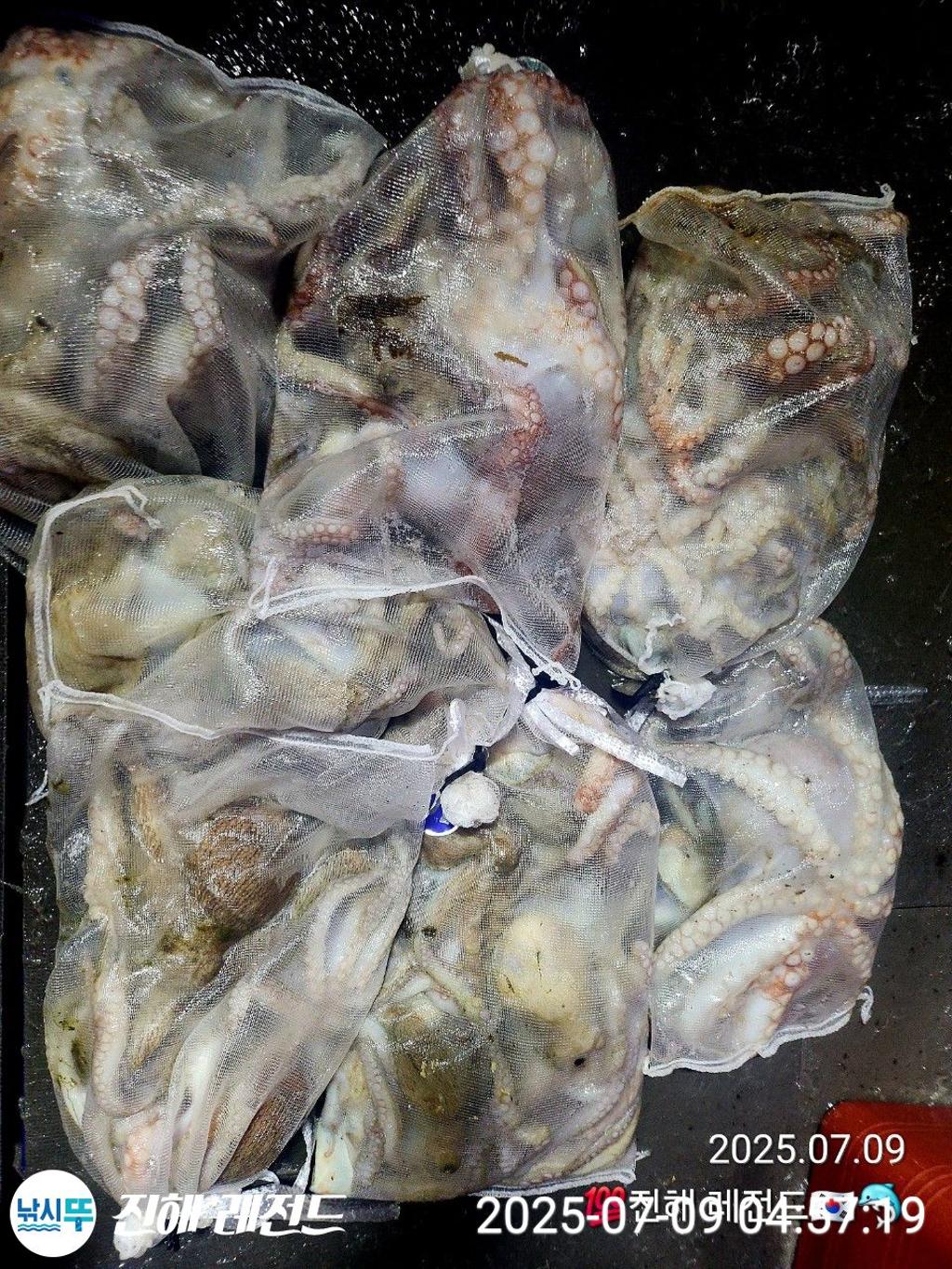 F27220907Q.jpg
