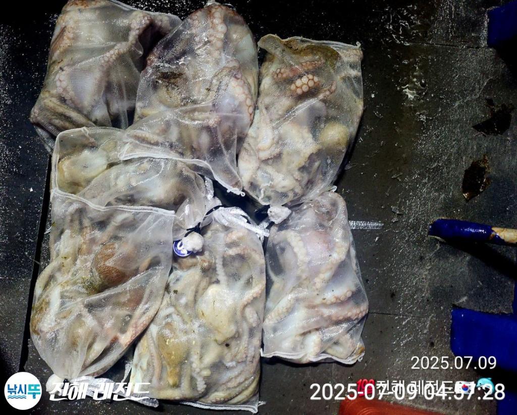F2722091TR.jpg