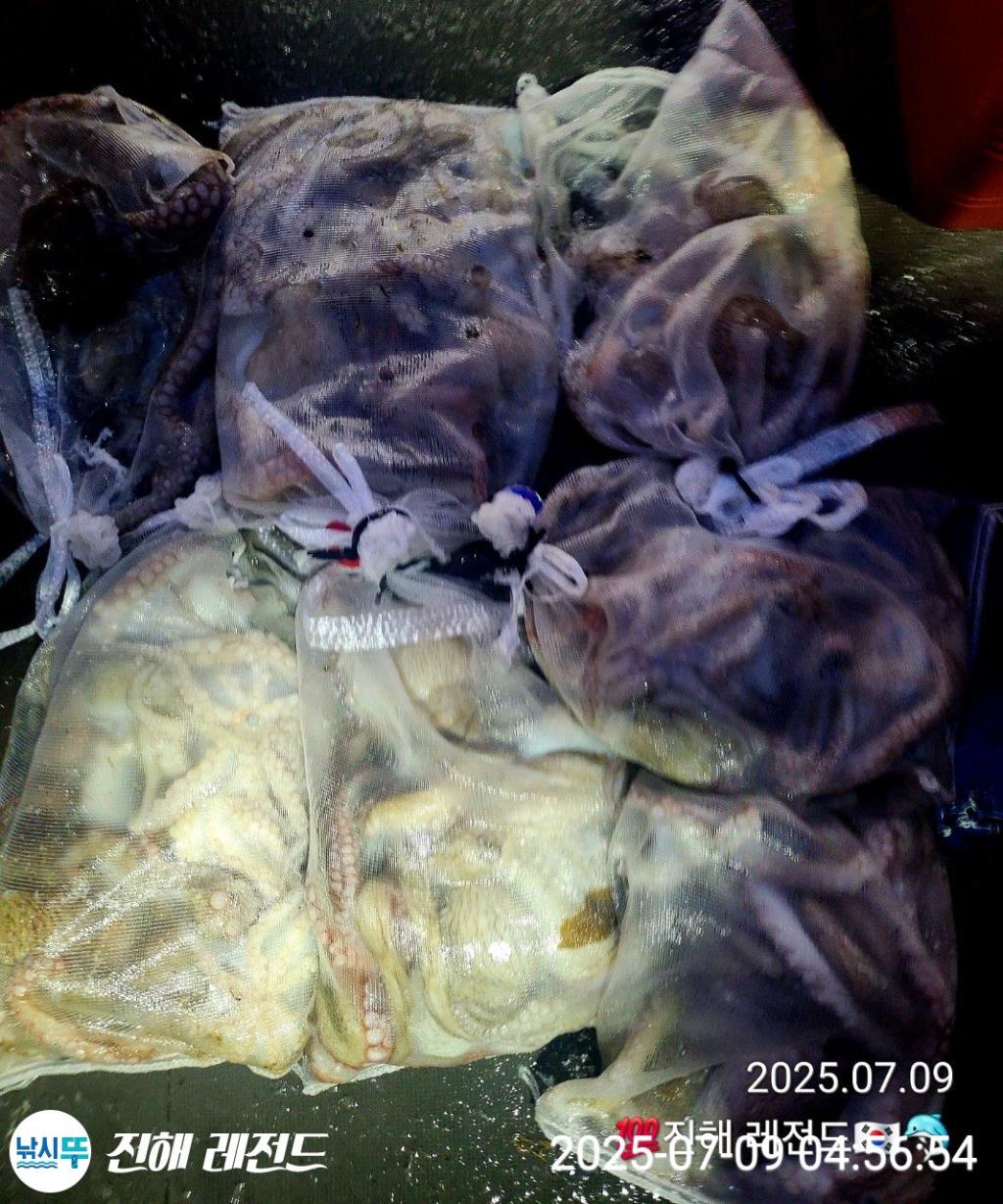 F272209555.jpg