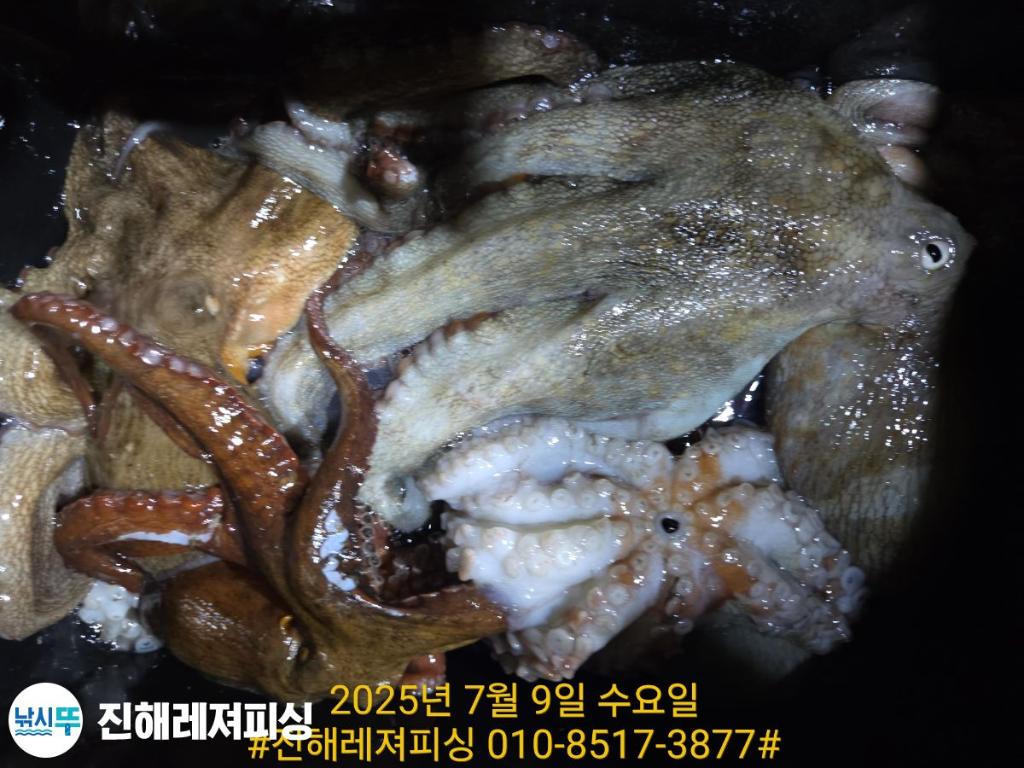 F2722124UZ.jpg