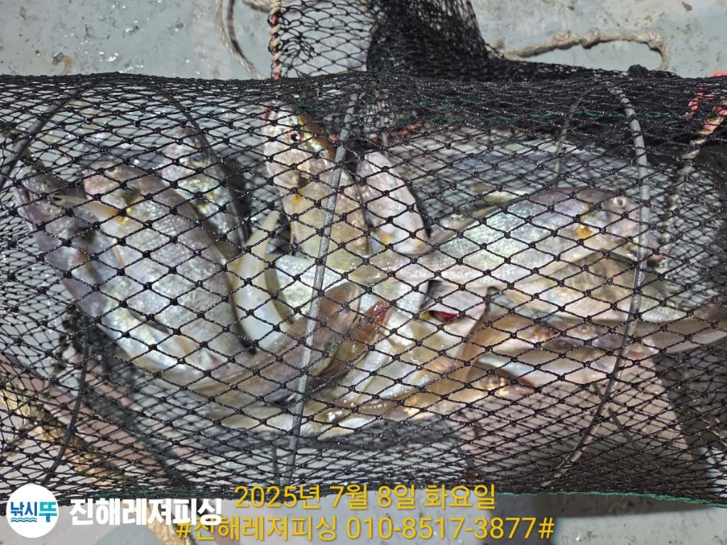 F2722212WL.jpg