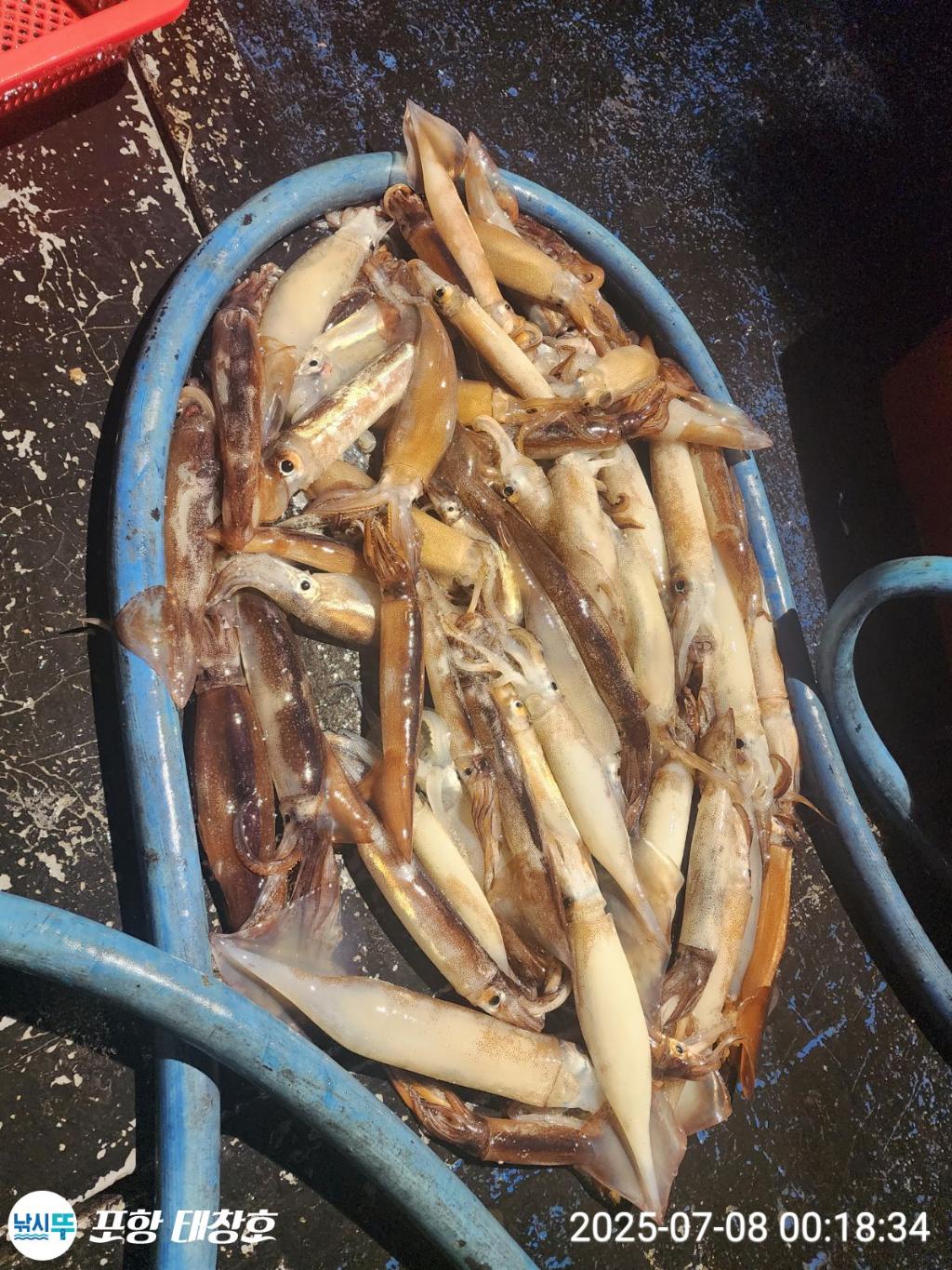 F2722397UB.jpg