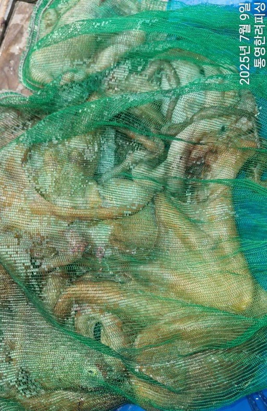 F2722426PN.jpg