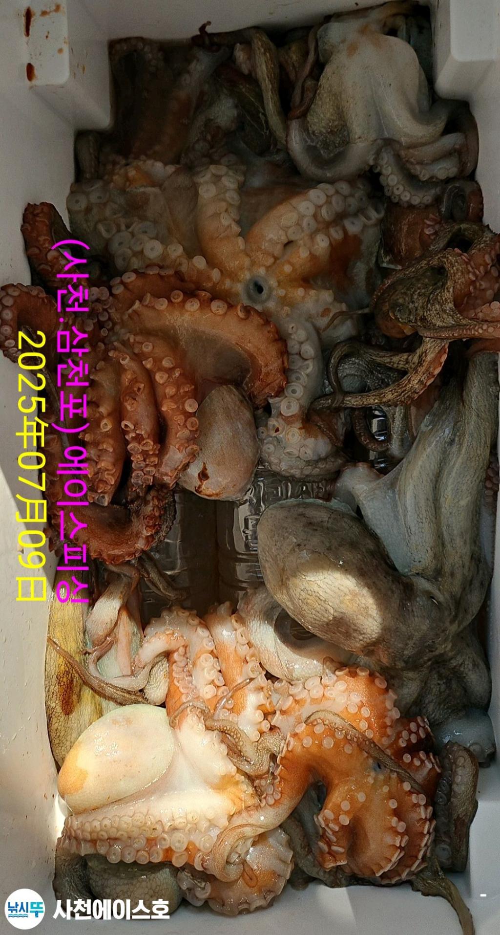 F2722563SQ.jpg