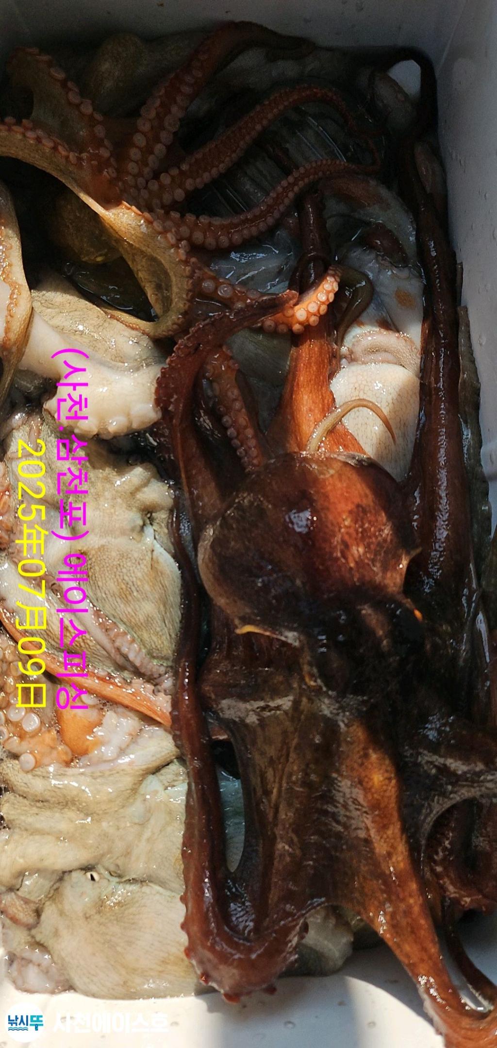 F2722564V1.jpg
