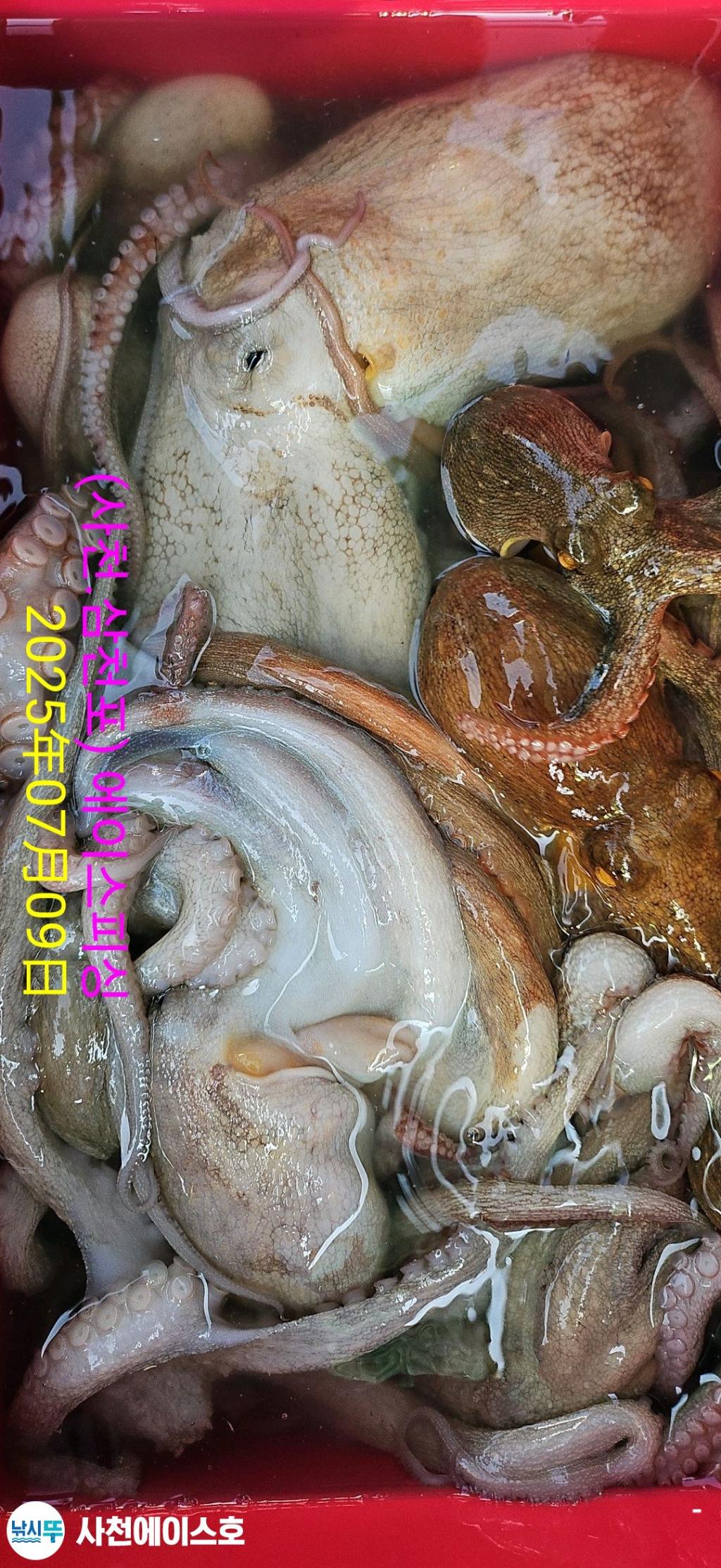 F2722566WQ.jpg