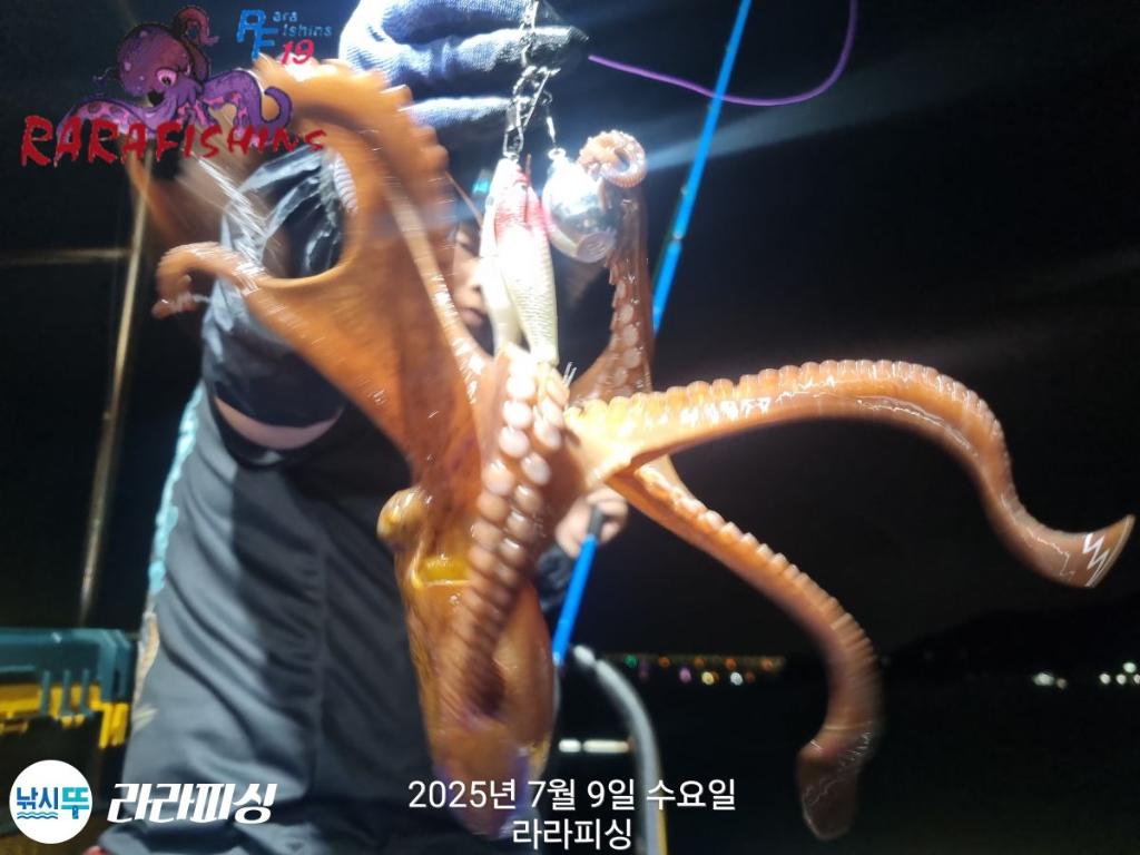 낚시뚜,돌문어,속천항(진해),라라피싱,낚시뚜13