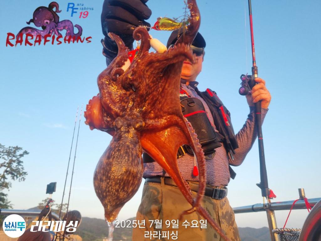 낚시뚜,돌문어,속천항(진해),라라피싱,낚시뚜3