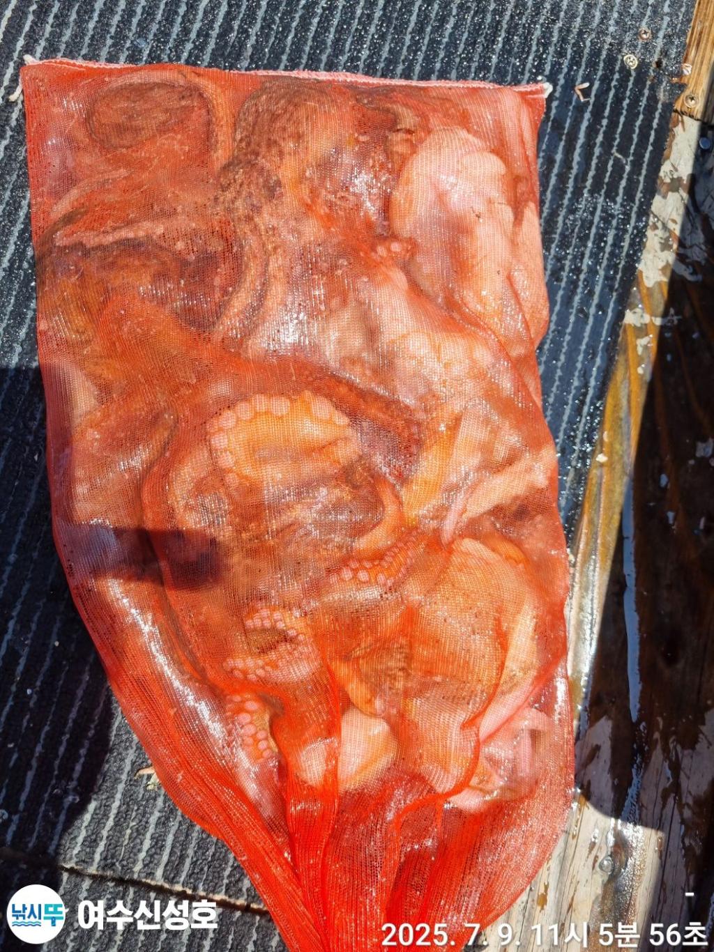 F2722652VC.jpg