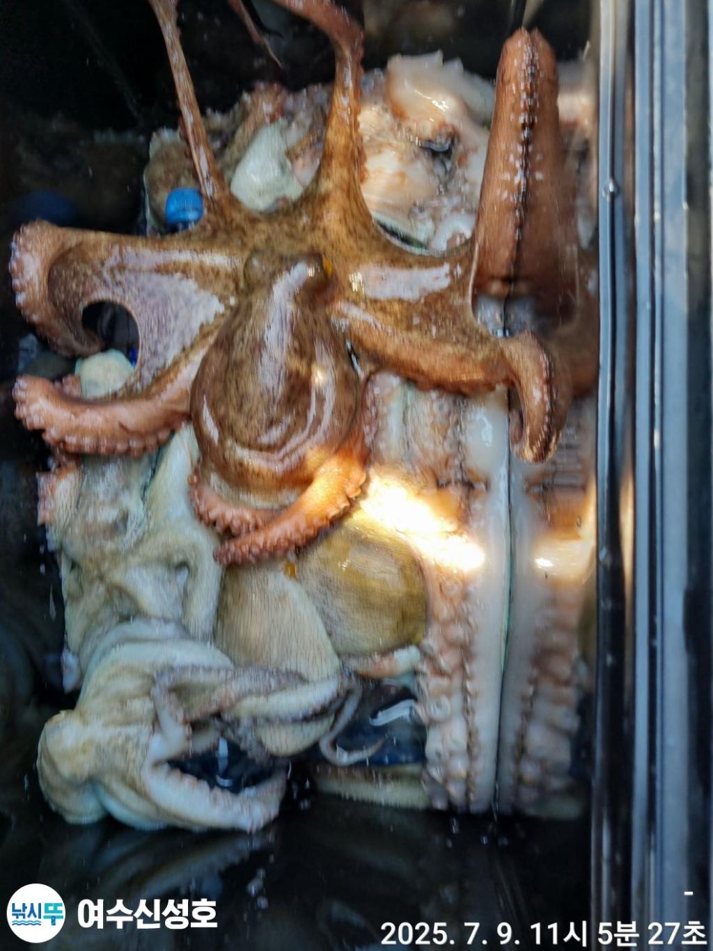 F272265308.jpg
