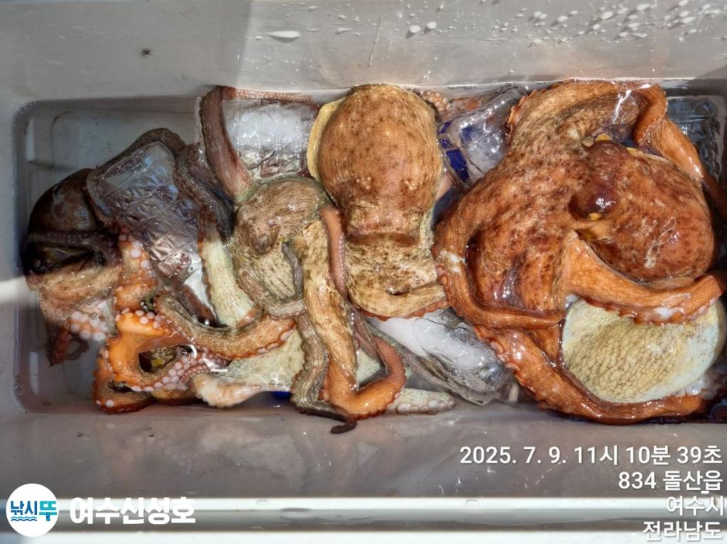 F2722655VN.jpg