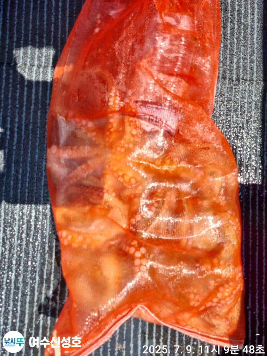F272265698.jpg