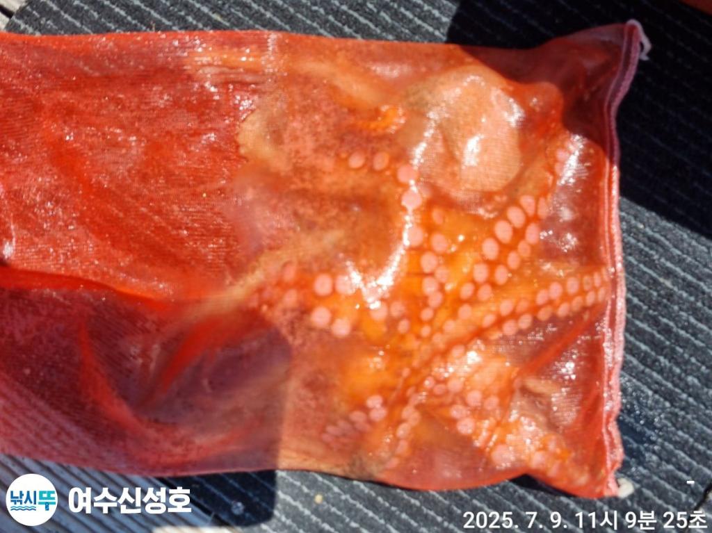 F2722657Y8.jpg