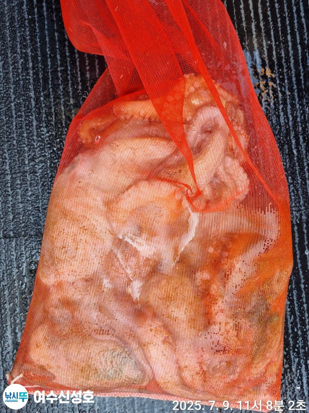 F2722660V6.jpg