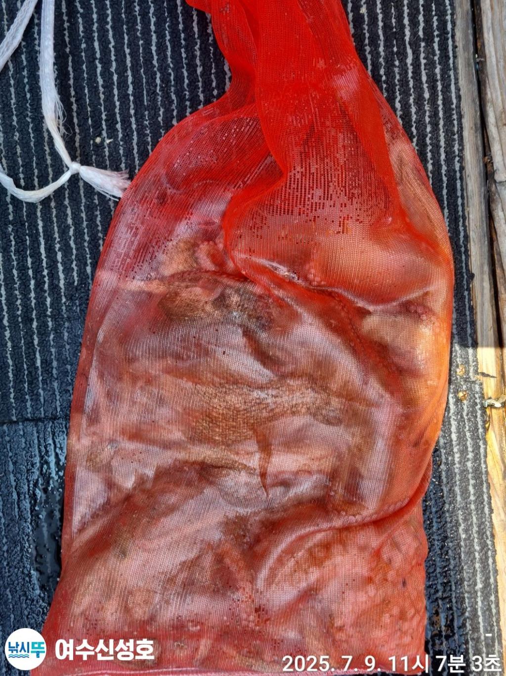 F2722663VW.jpg